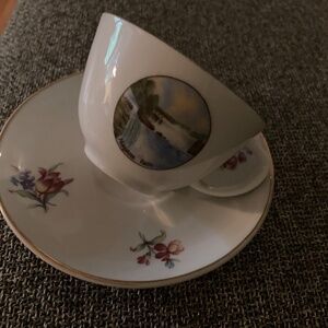 Rare Bavarian tea cup Niagara Falls!